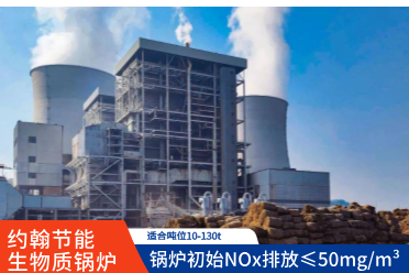 生物质锅炉