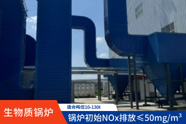 生物质锅炉