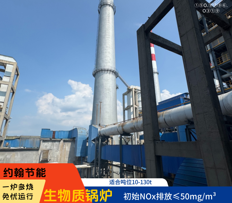 生物质锅炉 生物质锅炉